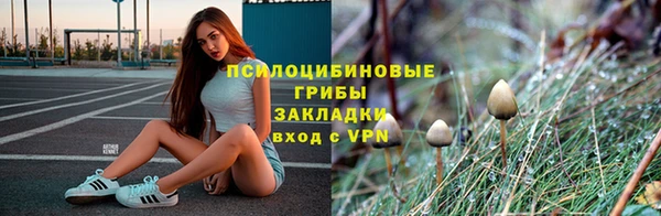 тгк Медногорск