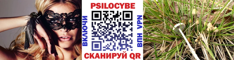 Галлюциногенные грибы Psilocybe  наркотики  Порхов 