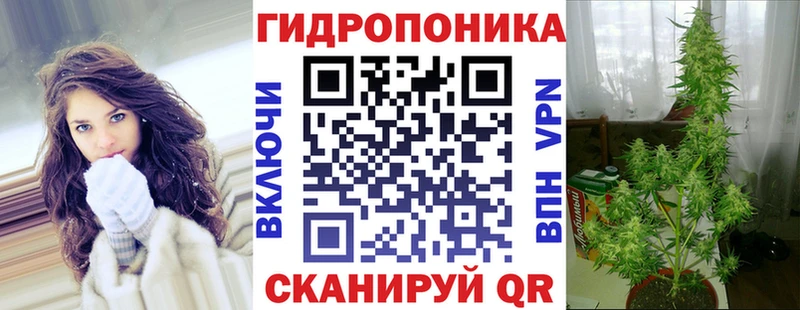 Бошки Шишки конопля  Порхов 